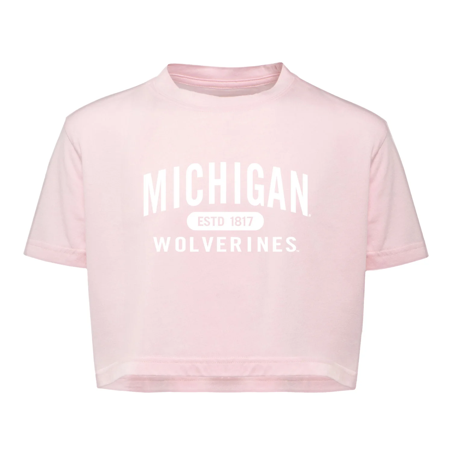 Michigan Cyber Monday Sale